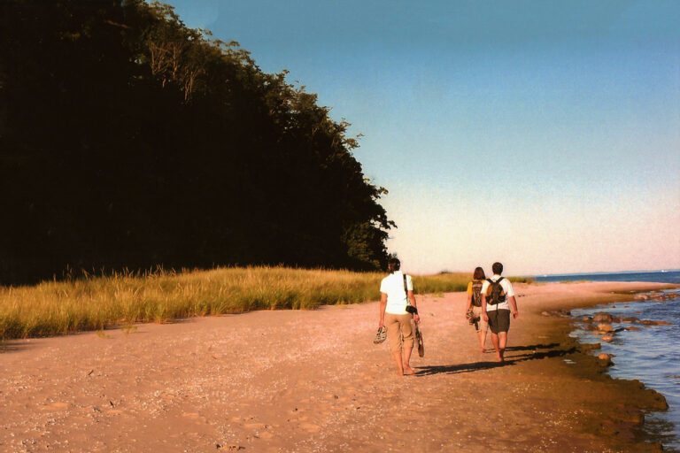 Three friends walking barefoot along a sandy shoreline under a clear blue sky
