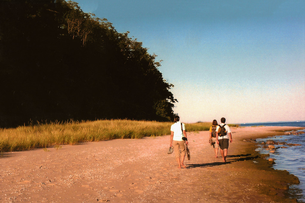 Three friends walking barefoot along a sandy shoreline under a clear blue sky