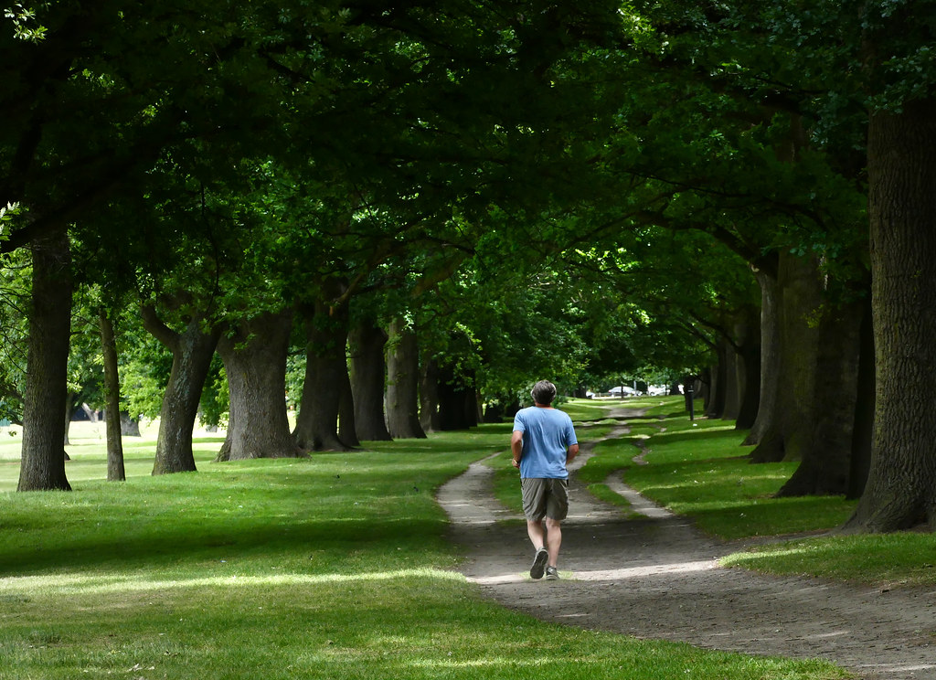 A man jogging along a shady dirt path lined with tall green trees