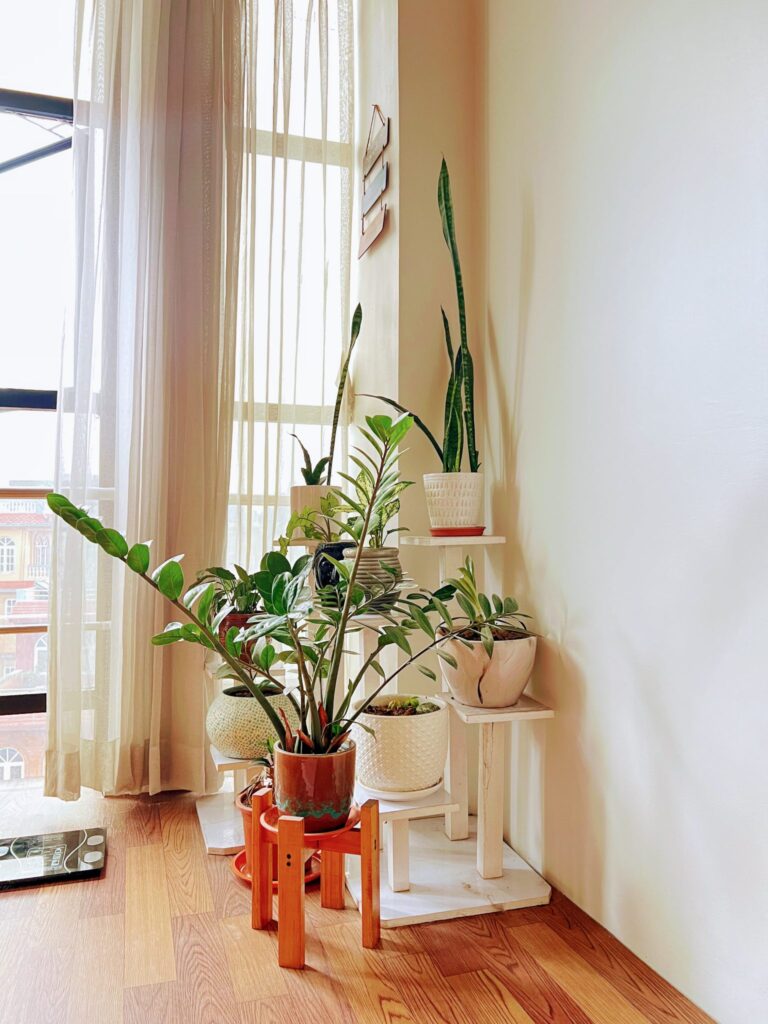 Green houseplants on a wooden stand beside a bright window with light curtains
